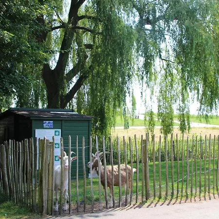 In Zevenhuizen With Sauna, Cleaning Included * Zevenhuizen (Zuidplas)